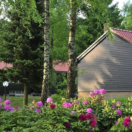 Fletcher Restaurant De Wipselberg-veluwe ホテル ベークベーゲン