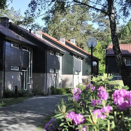 Fletcher Restaurant De Wipselberg-veluwe 4* ベークベーゲン