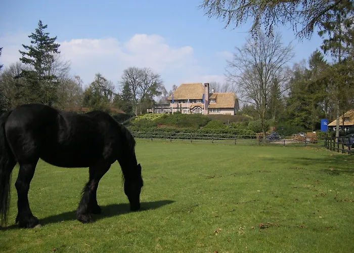Fletcher Restaurant De Wipselberg-veluwe 4* بيكبيرخين