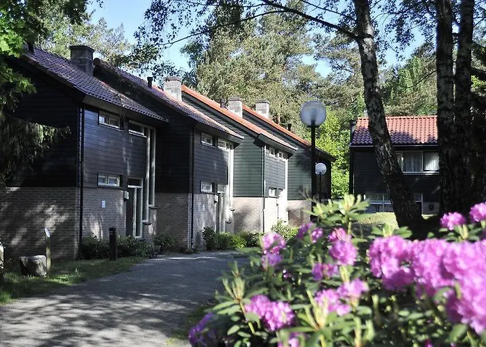 Fletcher Restaurant De Wipselberg-veluwe 4* بيكبيرخين